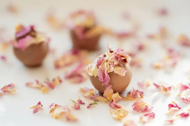 Casino Paradise Win App Android/iOS